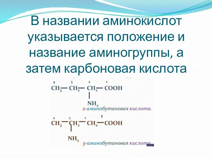 В названии аминокислот указывается положение и название аминогруппы, а затем карбоновая кислота