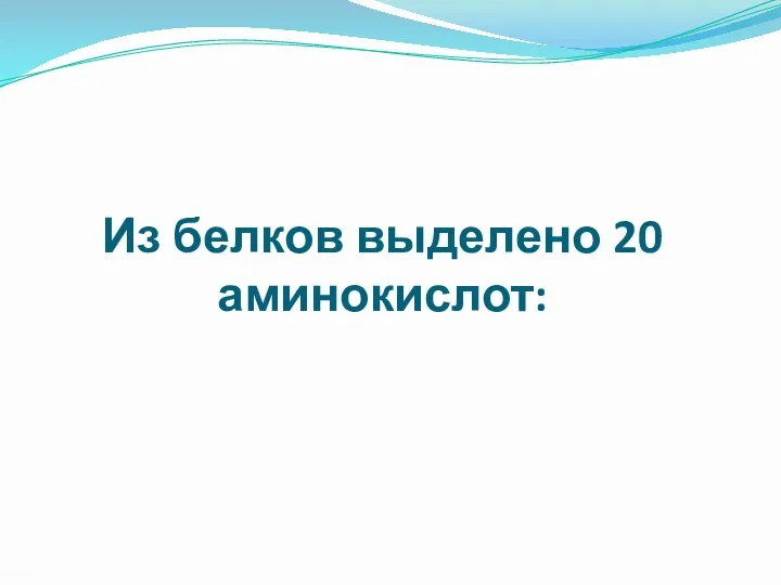 Из белков выделено 20 аминокислот: