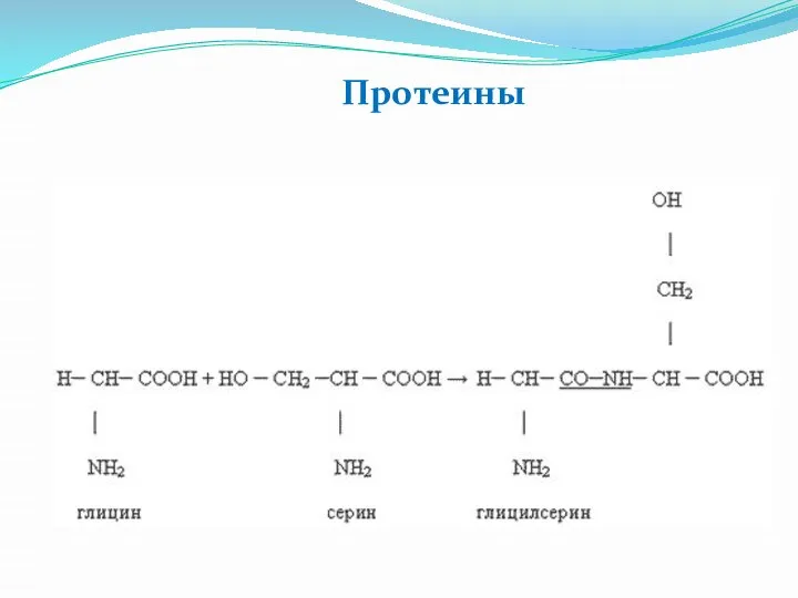 Протеины