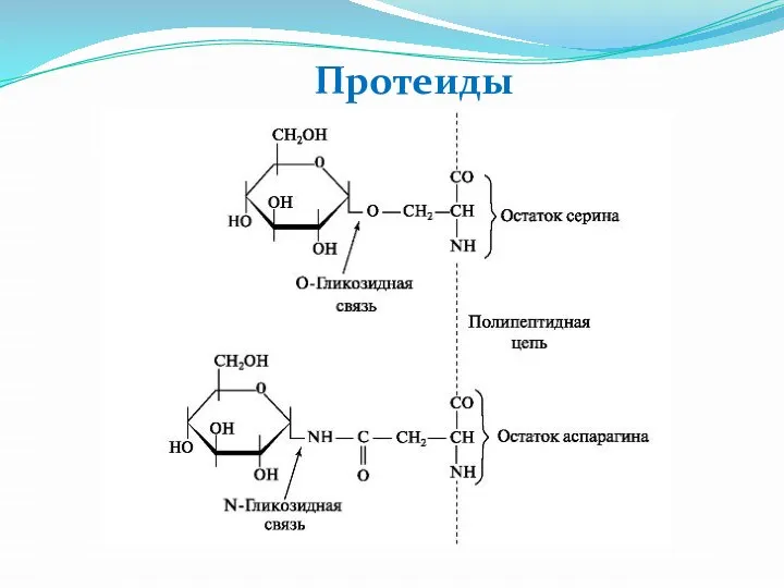 Протеиды