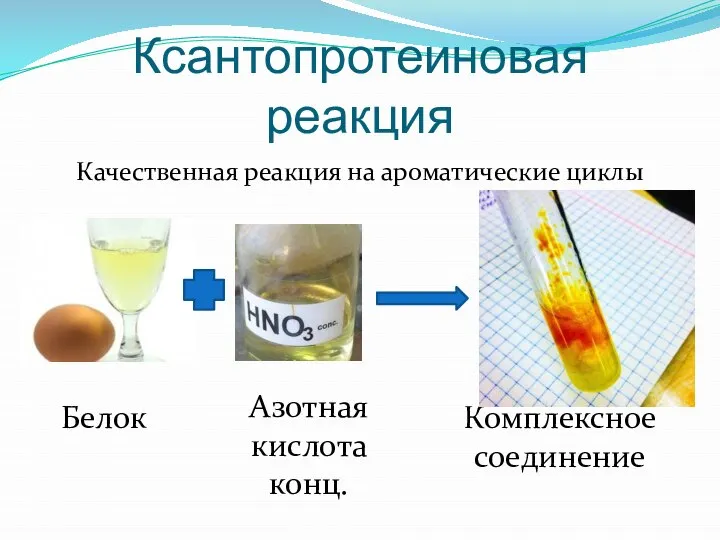 Ксантопротеиновая реакция Качественная реакция на ароматические циклы Белок Азотная кислота конц. Комплексное соединение