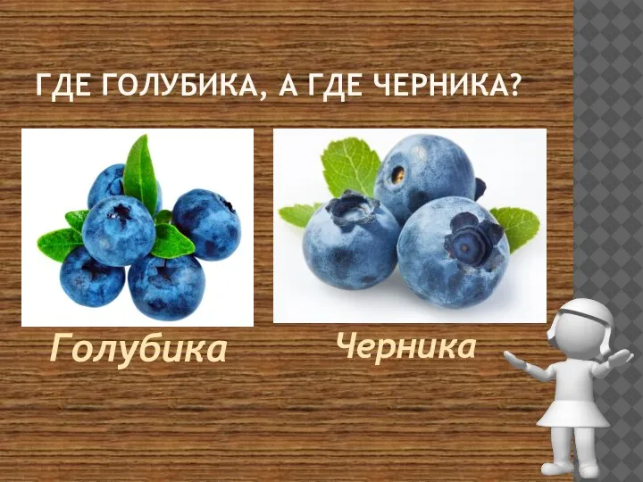 ГДЕ ГОЛУБИКА, А ГДЕ ЧЕРНИКА? Голубика Черника