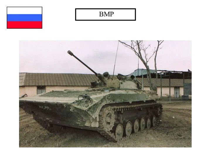 BMP