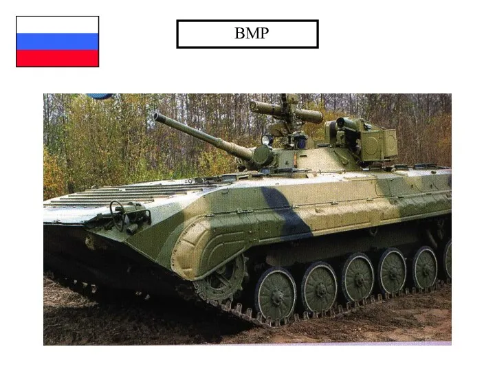 BMP