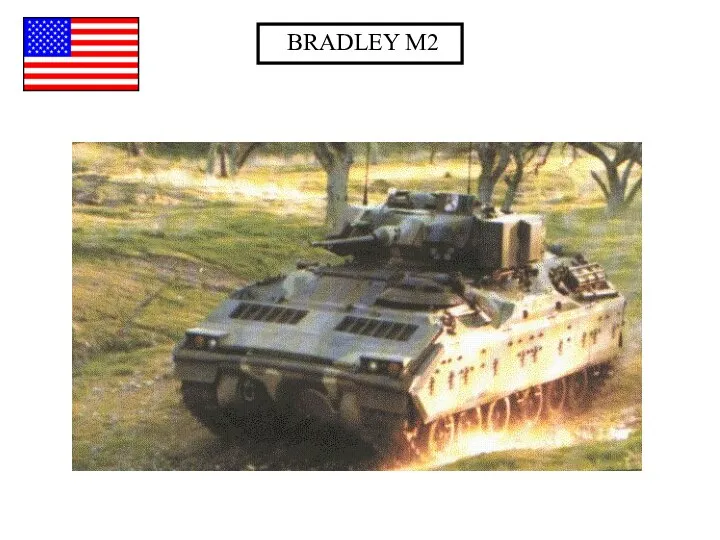 BRADLEY M2