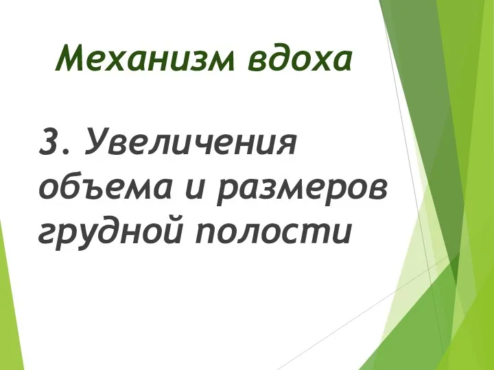 Механизм вдоха 3. Увеличения объема и размеров грудной полости