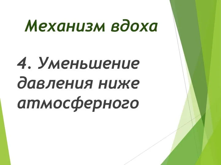 Механизм вдоха 4. Уменьшение давления ниже атмосферного