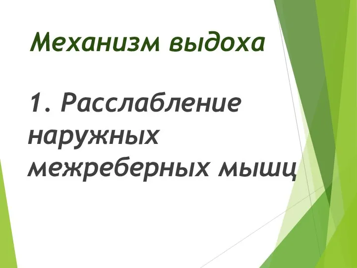 Механизм выдоха 1. Расслабление наружных межреберных мышц