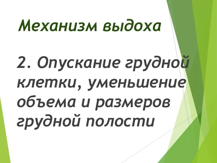 Механизм выдоха 2. Опускание грудной клетки, уменьшение объема и размеров грудной полости