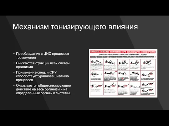 Механизм тонизирующего влияния Преобладание в ЦНС процессов торможения Снижаются функции всех систем