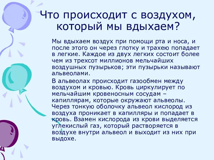 Что происходит с воздухом, который мы вдыхаем? Мы вдыхаем воздух при помощи