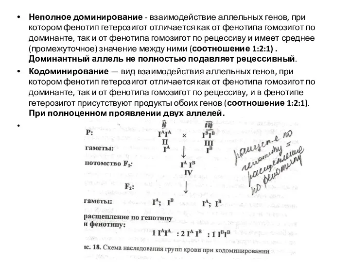 Неполное доминирование - взаимодействие аллельных генов, при котором фенотип гетерозигот отличается как