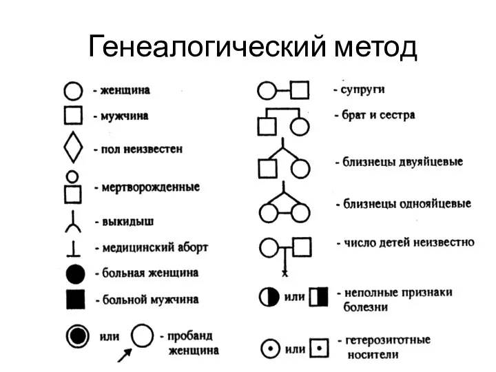 Генеалогический метод