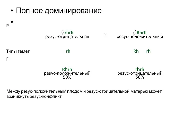 Полное доминирование Между резус-положительным плодом и резус-отрицательной матерью может возникнуть резус-конфликт