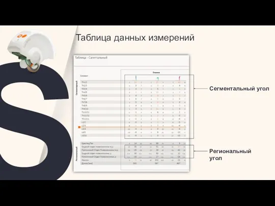 Таблица данных измерений Сегментальный угол Региональный угол S