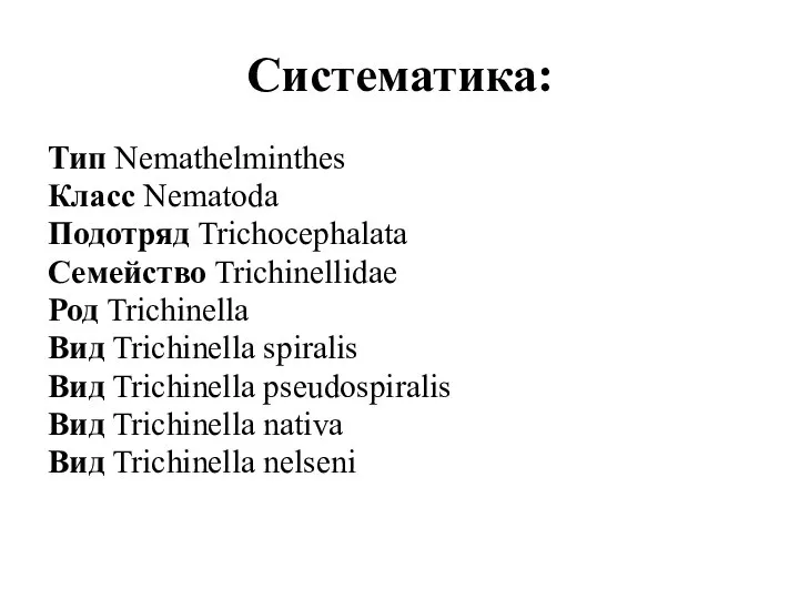 Систематика: Тип Nemathelminthes Класс Nematoda Подотряд Trichocephalata Семейство Trichinellidae Род Trichinella Вид