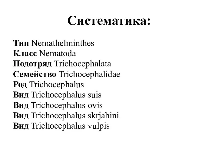 Систематика: Тип Nemathelminthes Класс Nematoda Подотряд Trichocephalata Семейство Trichocephalidae Род Trichocephalus Вид
