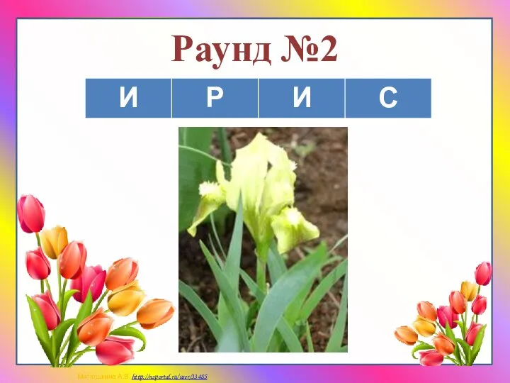 Раунд №2