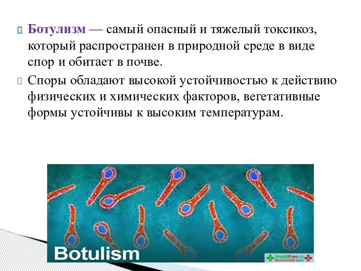 Ботулизм — самый опасный и тяжелый токсикоз, который распространен в природной среде