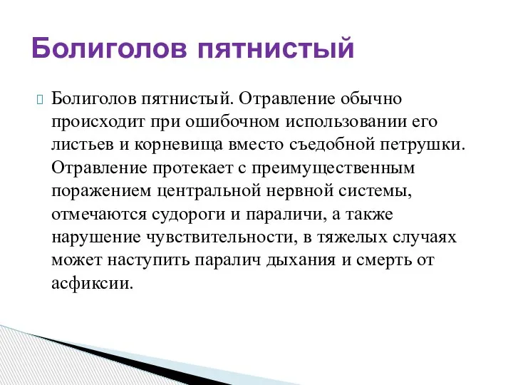 Болиголов пятнистый. Отравление обычно происходит при ошибочном использовании его листьев и корневища