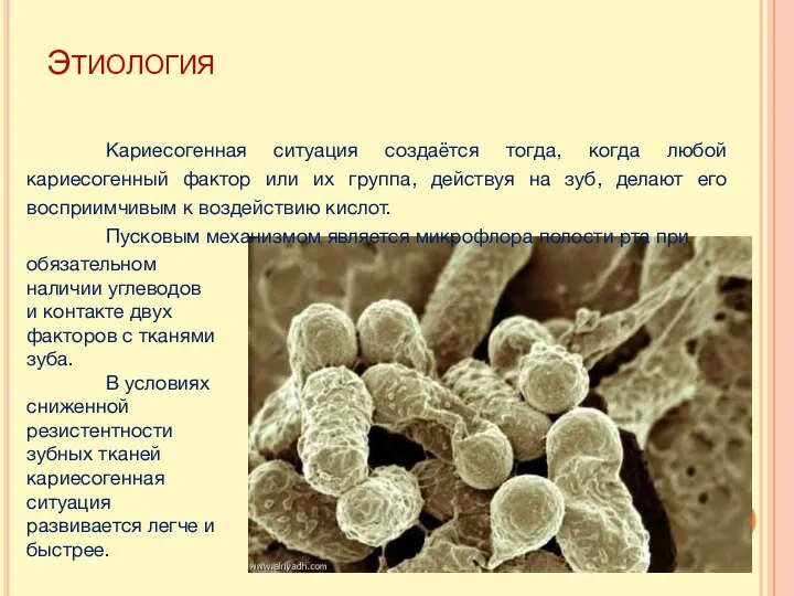 ЭТИОЛОГИЯ Кариесогенная ситуация создаётся тогда, когда любой кариесогенный фактор или их группа,