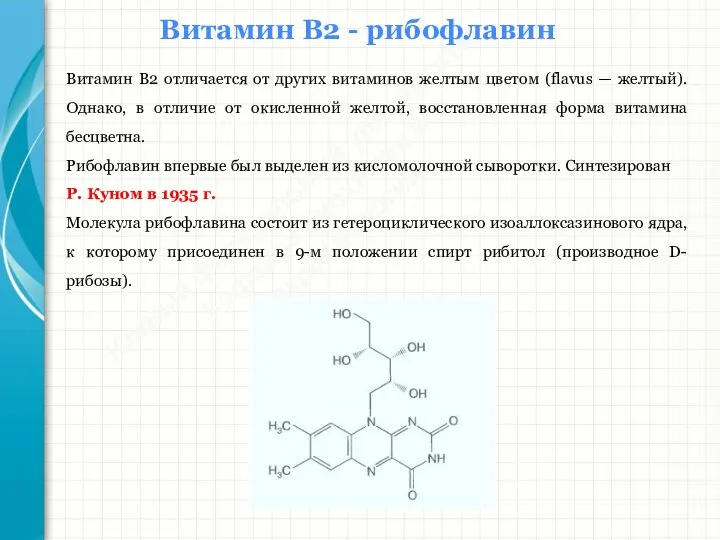 Южный федеральный университет Кафедра биохимии и микробиологии Витамин В2 - рибофлавин Витамин