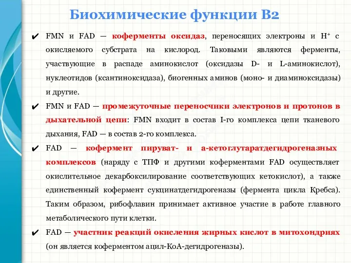 Южный федеральный университет Кафедра биохимии и микробиологии Биохимические функции В2 FMN и