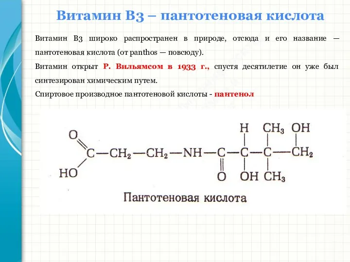 Южный федеральный университет Кафедра биохимии и микробиологии Витамин В3 – пантотеновая кислота