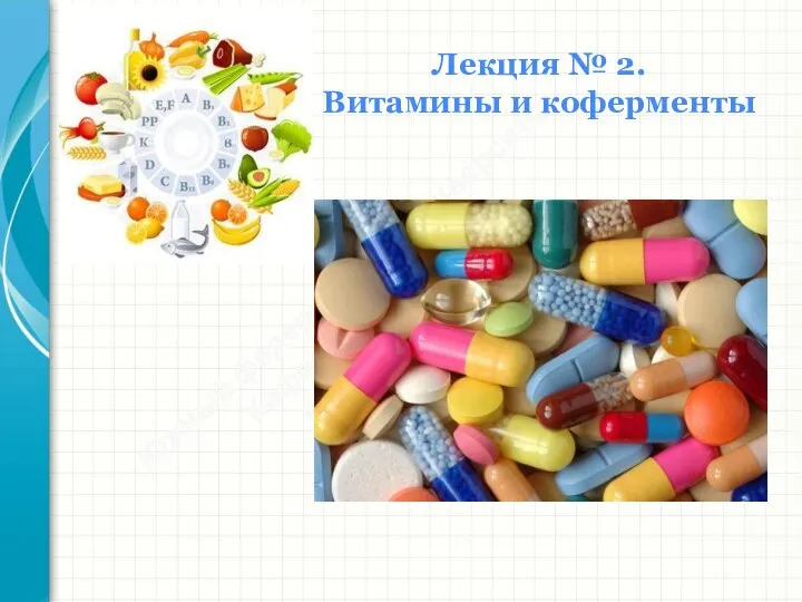 Южный федеральный университет Кафедра биохимии и микробиологии Лекция № 2. Витамины и коферменты