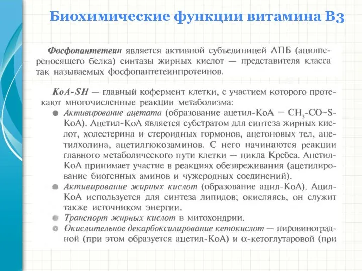 Южный федеральный университет Кафедра биохимии и микробиологии Биохимические функции витамина В3