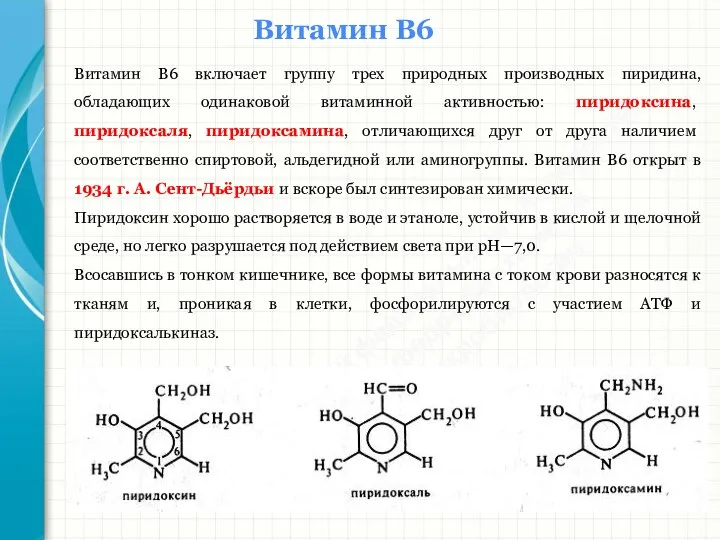 Южный федеральный университет Кафедра биохимии и микробиологии Витамин В6 Витамин В6 включает