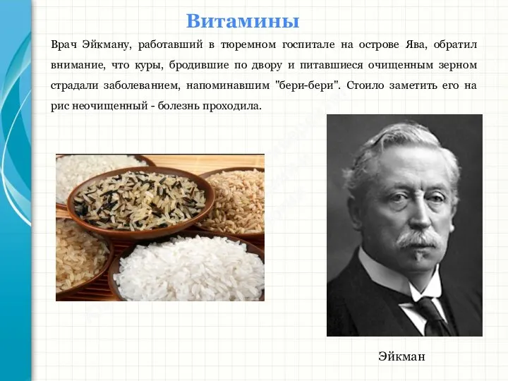 Южный федеральный университет Кафедра биохимии и микробиологии Витамины Врач Эйкману, работавший в