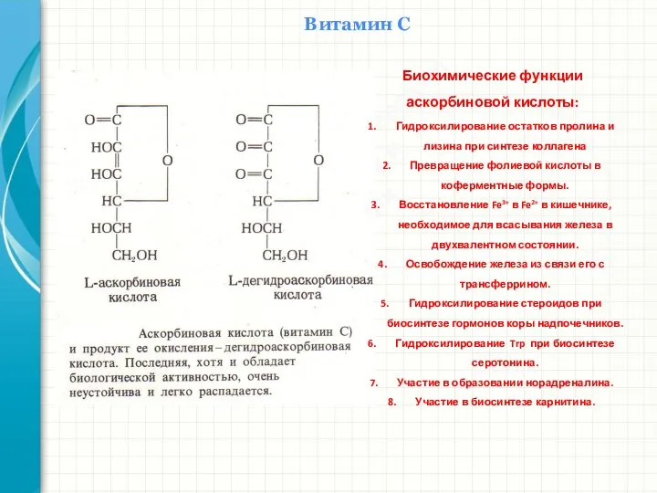 Южный федеральный университет Кафедра биохимии и микробиологии Витамин С Биохимические функции аскорбиновой