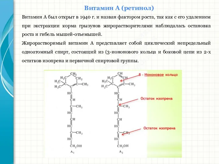 Южный федеральный университет Кафедра биохимии и микробиологии Витамин А (ретинол) Витамин А