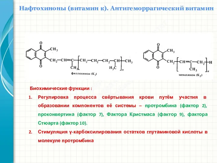 Южный федеральный университет Кафедра биохимии и микробиологии Нафтохиноны (витамин к). Антигеморрагический витамин