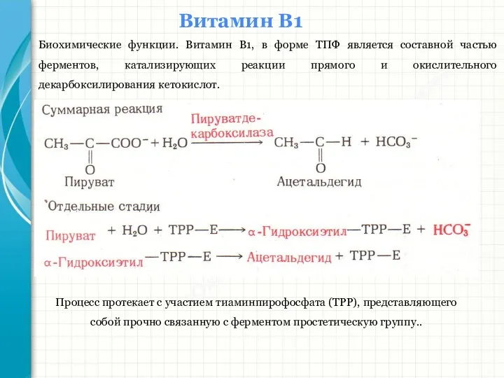 Южный федеральный университет Кафедра биохимии и микробиологии Витамин В1 Биохимические функции. Витамин