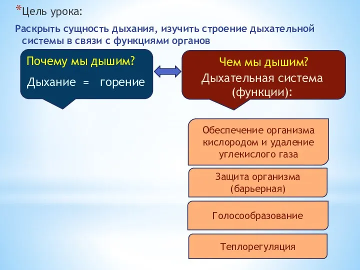 Цель урока: Раскрыть сущность дыхания, изучить строение дыхательной системы в связи с