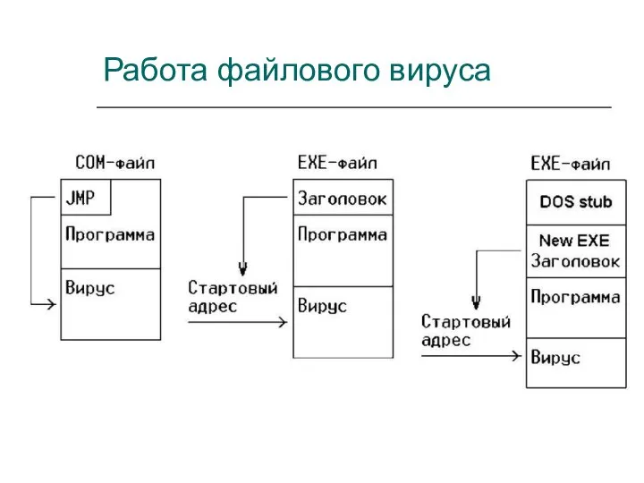 Работа файлового вируса