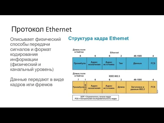 Протокол Ethernet Описывает физический способы передачи сигналов и формат кодирования информации (физический