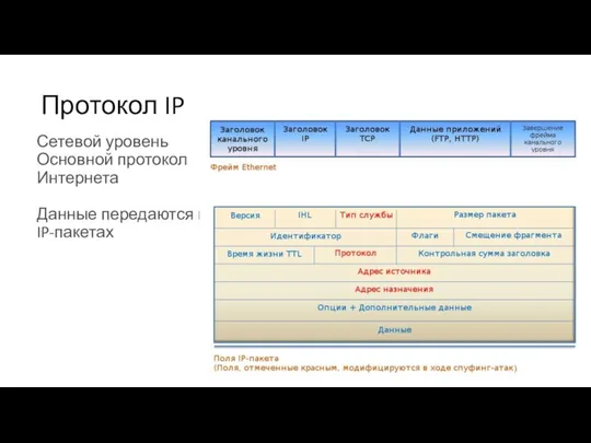 Протокол IP Сетевой уровень Основной протокол Интернета Данные передаются в IP-пакетах
