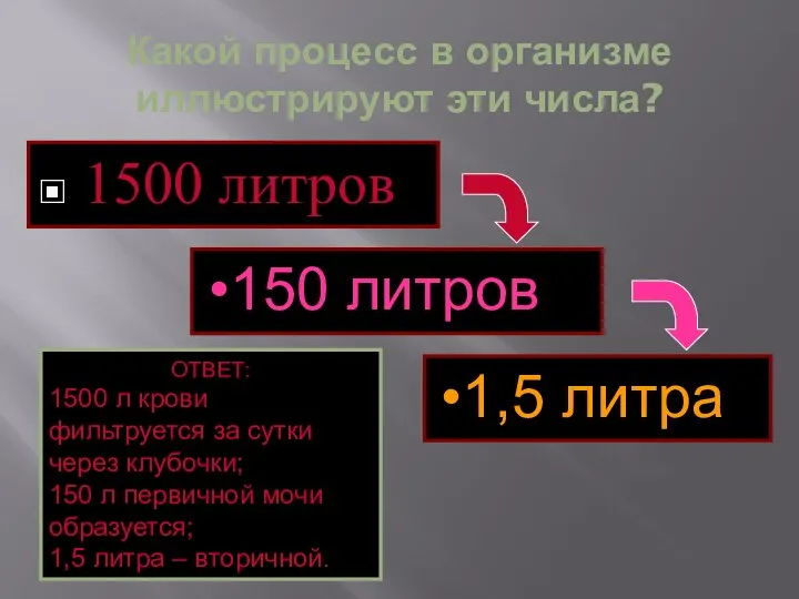 Какой процесс в организме иллюстрируют эти числа? 1500 литров 150 литров 1,5