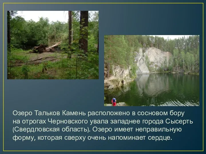 Озеро Тальков Камень расположено в сосновом бору на отрогах Черновского увала западнее