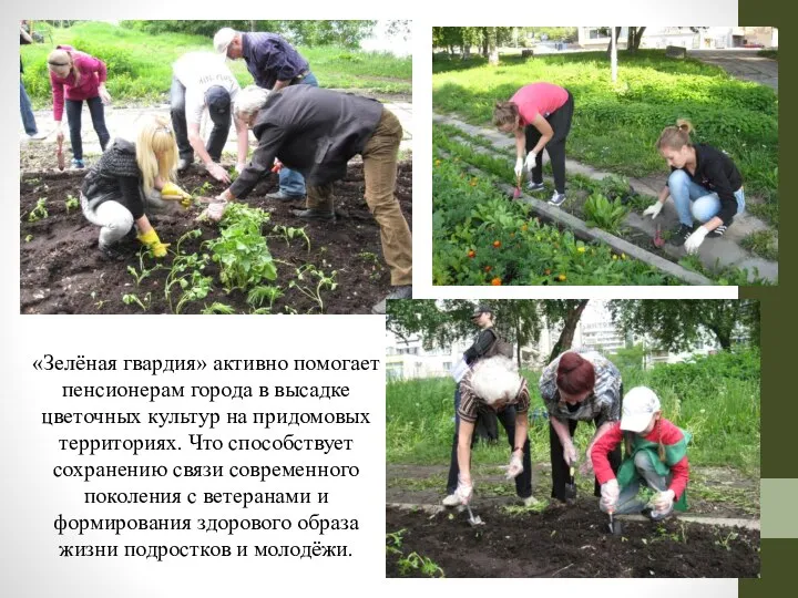 «Зелёная гвардия» активно помогает пенсионерам города в высадке цветочных культур на придомовых