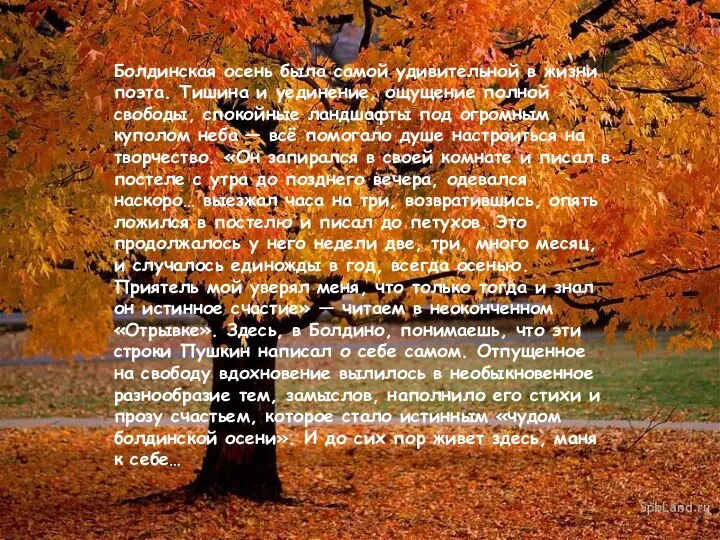Болдинская осень была самой удивительной в жизни поэта. Тишина и уединение, ощущение