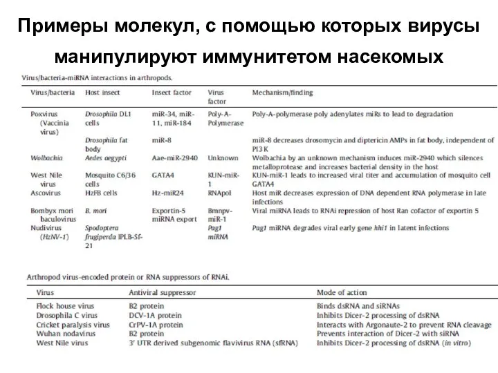 Примеры молекул, с помощью которых вирусы манипулируют иммунитетом насекомых