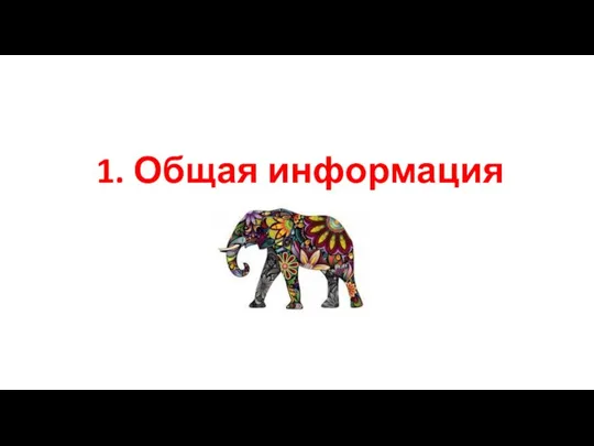 1. Общая информация