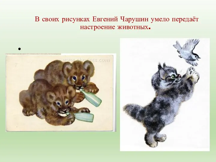 В своих рисунках Евгений Чарушин умело передаёт настроение животных.
