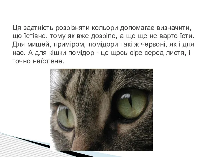 Ця здатність розрізняти кольори допомагає визначити, що їстівне, тому як вже дозріло,