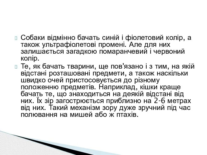 Собаки відмінно бачать синій і фіолетовий колір, а також ультрафіолетові промені. Але