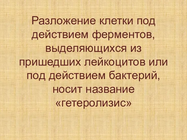 Разложение клетки под действием ферментов, выделяющихся из пришедших лейкоцитов или под действием бактерий, носит название «гетеролизис»